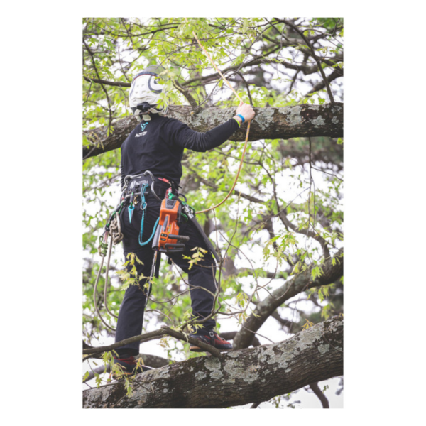 Notch Quick Cinch Chainsaw Lanyard teal and black with silver ring in use on a tree climber