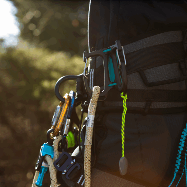 Notch Cargo Tool Carrier - Image 8