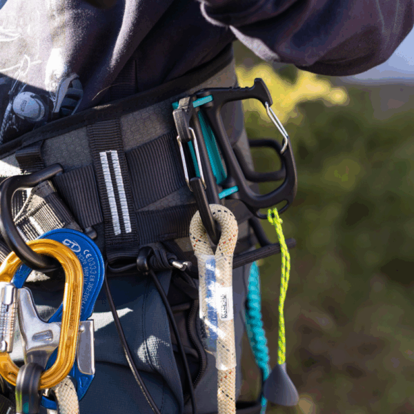 Notch Cargo Tool Carrier - Image 9