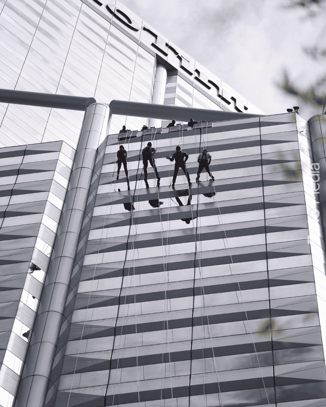 Featured image for “Central Park Plunge 2025”